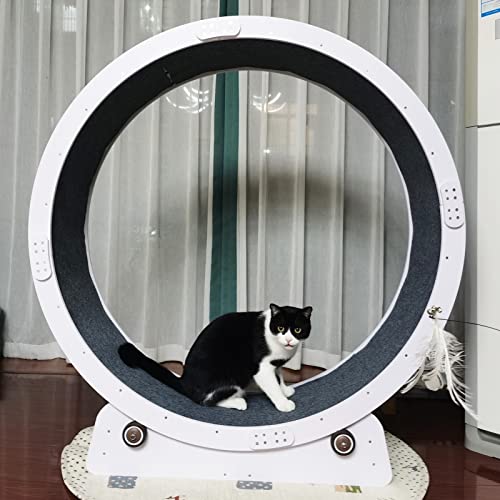 Katzenlaufrad Indoor-Katzen-Heimtrainer Laufband, Spaltfreies Katzenlaufrad für Kleine/Große Katzen, Leiser Catwheel-Trainer, Spielzeug für Erwachsene Katzen / Kätzchen ( Size : 80cm/31.5" )