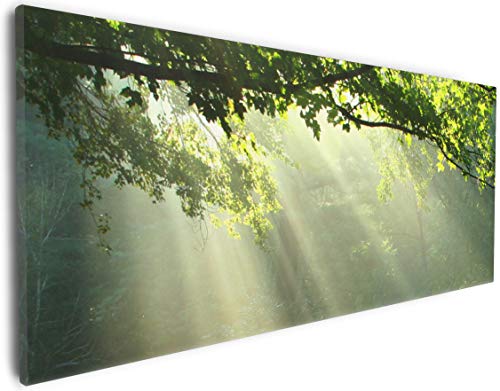 Wallario Leinwandbild Sonnenstrahlen im Wald - Wandbild 30 x 75 cm: Kunstdruck | Brillante lichtechte Farben | hochauflösend | verzugsfrei