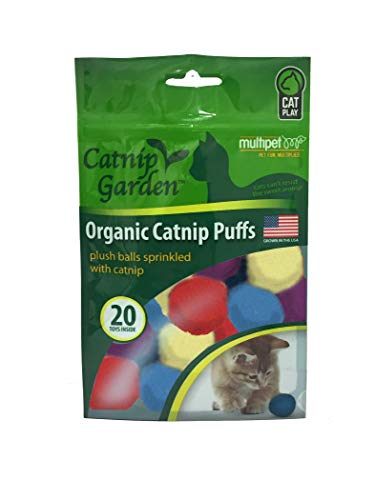 Multipet Katzenminze-Puffs für den Garten, 20 Stück, Sortiert