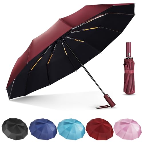 Lychico Regenschirm, winddichter Reiseschirm – kompakter, automatischer faltbarer Regenschirm für Regen, 12 Rippen, windabweisend, tragbare Regenschirme für Einhandbedienung, klein, leicht, stark,
