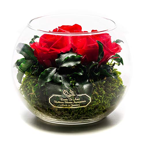Rosen-Te-Amo Stylischer Blumenstrauß aus 3 konservierte rote Rosen in Kugel-Vase; Infinity Rosen im Glass: handgefertigt aus 100% echten Dekorativen-Pflanzen und Moose - haltbar ohne Wasser
