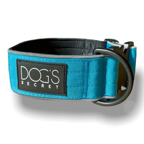 Dog’s Secret Hundehalsband ◆ für große Hunde ◆ S (30 – 45 cm) 5 cm Breit ◆ Leuchtend ◆ Blau