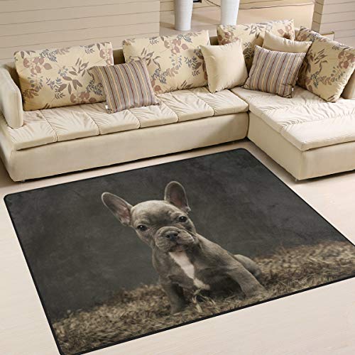 Use7 Teppich für Wohnzimmer, Schlafzimmer, Motiv: Französische Bulldogge, 203 x 147,3 cm