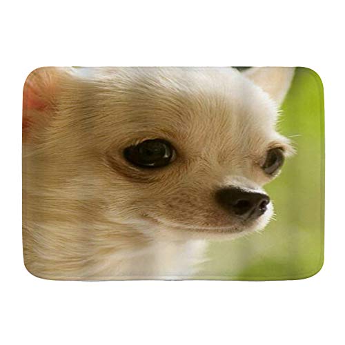 Minalo Rutschfeste Badematte, Chihuahua-Nahaufnahme, niedliches Haustier, sauberes Gesicht, personalisierbar, Badezimmerteppich, 75 x 45 cm