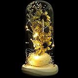 Mobestech Sonnenblume in einer Glaskuppel mit LED-Lichtern, dekorative Tischlampe, konservierte Blume, Geschenke für sie, Muttertag, Valentinstag, Jahrestag