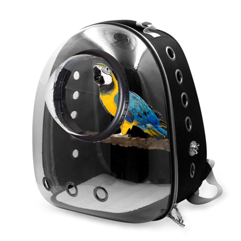 Vogelträger Rucksack für Papagei Reisetasche mit Barsch Tragbare Transparente Haustier Reiserucksack Atmungsaktiv für Reisen Wandern (Black)