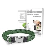 Ganzoo Paracord 550 Hunde-Halsband Set selbst knüpfen, Bastelset, DIY Geschenk (Grasgrün)