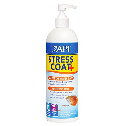 API Stress Coat mit Pumpe Wasseraufbereitung, 473 ml