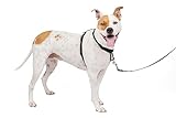 PetSafe 3-in-1 Geschirr, Hundegeschirr mit Rückhaltegurt, Reduziert Ziehen und Druck auf die Kehle, Größe M, Schwarz