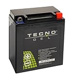 TECNO-GEL Motorrad-Batterie YB12AL-A2 / -A, 12V Gel-Batterie 12Ah (DIN 51213), 134x80x161 mm inkl. Pfand