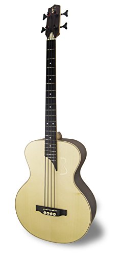 APC Instruments BG300 PSI MX Bass Gitarre