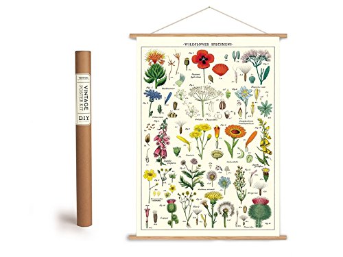 Cavallini Vintage Poster Set mit Holzleisten (Rahmen) und Schnur zum Aufhängen, Motiv Wildblumen, Blumenwiese, Heimbüro