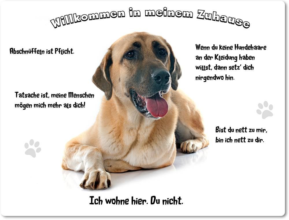 Merchandise for Fans Blechschild/Warnschild/Türschild - Aluminium - 30x40cm - - Willkommen in Meinem Zuhause - Motiv: Kangal/Anatolischer Hirtenhund - 01