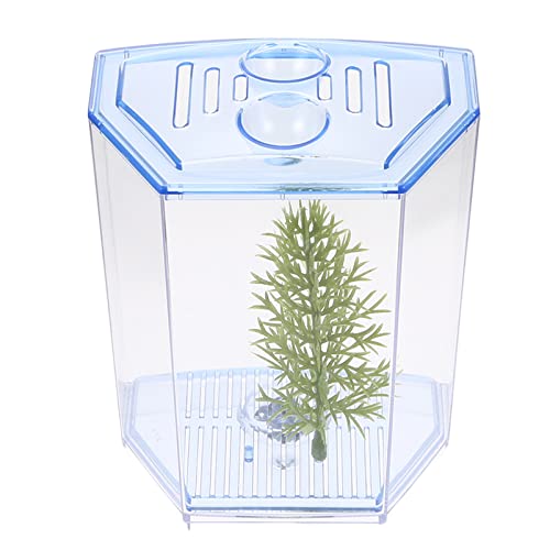 Zucht Landschaftsbau Guppy Blue Fish Home for Dekoration Desktop Inkubation Klar Haushalt Terrarium Trennwand Transparenter Tank Aggressives Büro Clownfisch Züchter Aquarium Aquarium Dekoration ( Colo