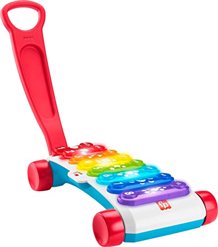 FP INFANT HGM29 Fisher-Price Giant Light-Up Xylophon, Multicolor