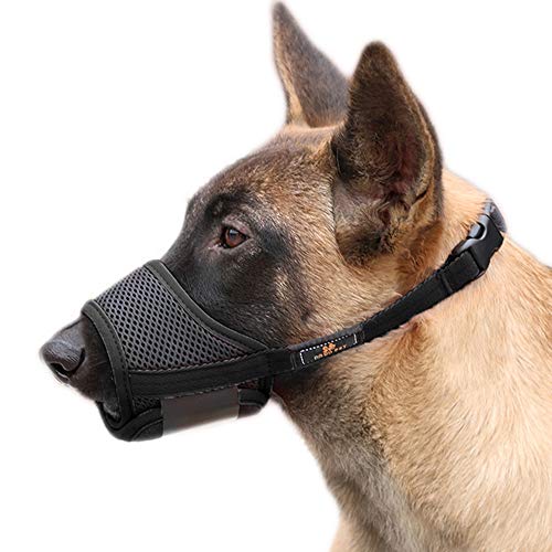 TFENG Dog Muzzle Soft verhindert das Fressen von Nahrungsmitteln Vermeiden Sie schädliches Selbstlecken Kein Bellen (Schwarz, M)