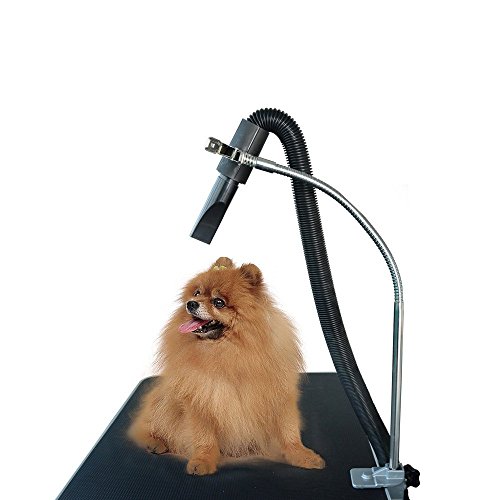 Gravitis Pet Supplies Robuster Hundefön-Schlauchhalter – nur Halterung – geeignet für die Verwendung mit einem Tierpflegetisch