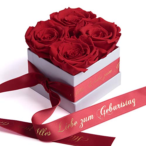 ROSEMARIE SCHULZ Heidelberg Infinity Rosenbox Alles Liebe zum Geburtstag - Blumenbox mit Infinity Rosen haltbar 3 Jahre - Geburtstagsgeschenk für Freundin (Alles Liebe zum Geburtstag, Weiß-Rot)