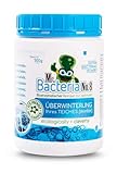 Mr.Bacteria No.8 Bioenzymatischer Reiniger zur optimale ÜBERWINTERUNG Ihres TEICHES (Winter) 500g - 1 Stück
