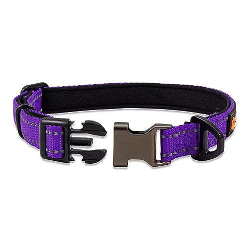 Lila Hundehalsband Kleine Hunde - Stark Reflektierend Verstellbar Gepolstert Hundehalsbänder - Metallschnalle Aluminium V-Ring Hund Sicherheit