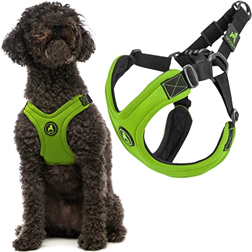 Gooby - Escape Free Sport Harness, Small Dog Step-In Neoprene Harness for Dogs That Like to Escape Their Harness, Lime, Large