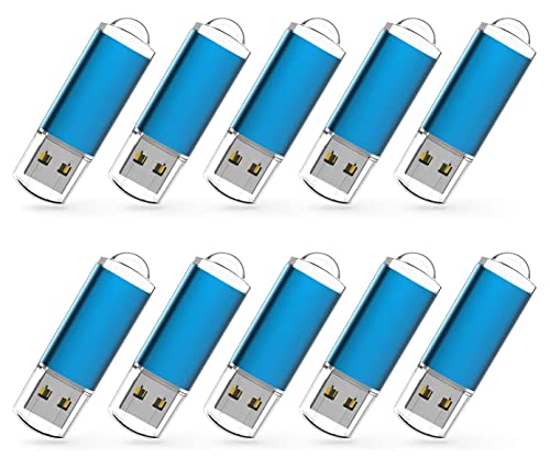 RAOYI 10 Pack 16G USB Flash Drive USB 2.0 Memory Stick Memory Drive Pen Drive Blue