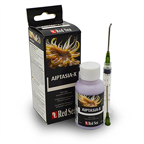 Red Sea Fish Pharm ARE22231 Aiptasia-X Eliminator Kit für Aquarium, 60 ml