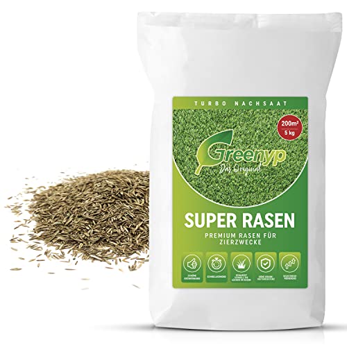 Greenyp Super Rasen I sattgrüner Premium Zierrasen Nachsaat I Traumrasen Grassamen Rasensamen Rasensaat Gras besonders schnellkeimend 5kg für 200m²