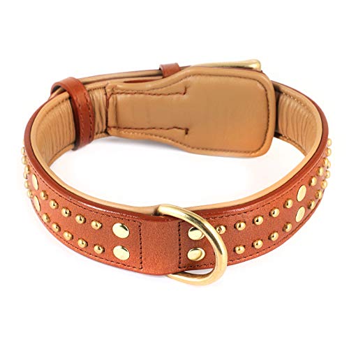 Monkimau Hundehalsband - Halsband für Hunde aus Leder mit Nieten gepolstert verstellbar (XS-S: 25mm x 40cm)