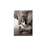 HONGC Druck auf Leinwand Tiere Elefantenbaby Elefant druckt   Poster Schwarz und Retro Weiß Leinwand Kunst Wand Dekoratives Bild für Wohnzimmer 60x80cm / 23,6"x 31,4" Kein Rahmen