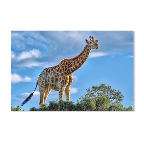 1000 Piece Puzzles Für Kid Adult Toy Geschenk DIY Game，Afrikanische Tiere, Giraffe（75x50cm）-A121
