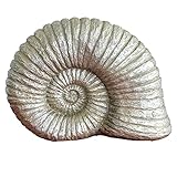Exner Ammonit Hilda Polyresin, silber, H ca. 24 cm