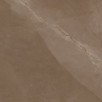 Feinsteinzeug Desert glasiert matt rektifiziert Braun, 60x60x0,9 cm, A4, R9
