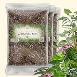 OraGarden Alokasien Alocasia Erde für Zimmerpflanzen - Premium Qualität (9L)