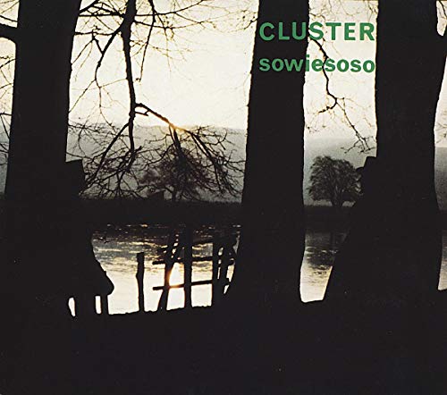 Sowiesoso [Vinyl LP]