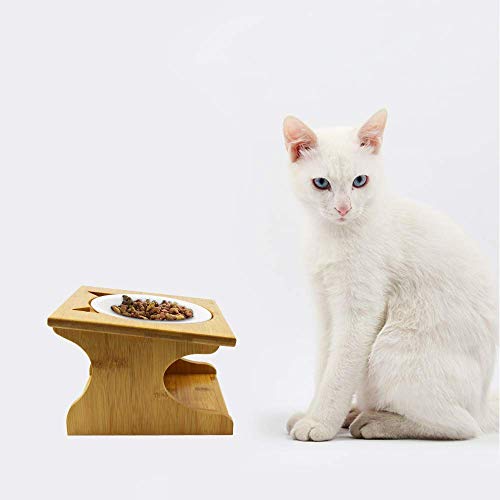 Petsoigné Katzennäpfe Hundenapf Hoch Katzenschüssel Set Keramik und Edelstahl mit Holzunterstützung Für Katzen Jeden Alters und Welpen (1 Napf, Keramik)