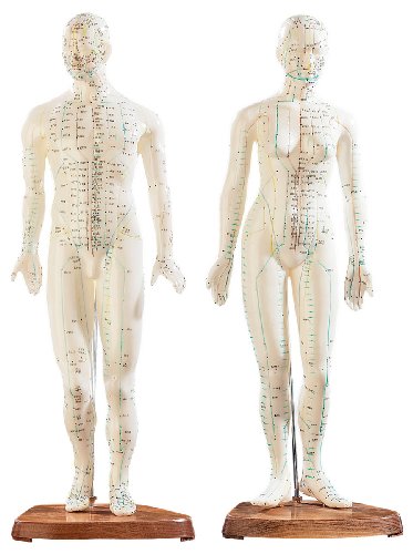 newgen medicals Akupunktur Modell: Akupunktur-Figuren 2er-Set (Mann/Frau) (Akupunktur Model)