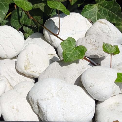 Gartenkies ANTIK STONE flach 60/120 20 kg große Steine mit natürlicher OPTIK für den Garten