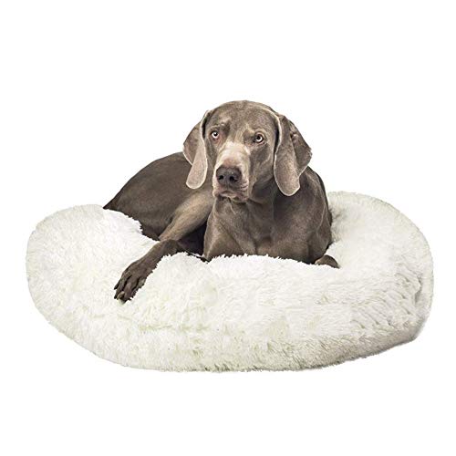 DUCHEN Hundebett/Katzenbett,Donut-Design weich Bett für mittelgroße und große Hunde,Sehr weich, Beruhigendes Hundesofa,Wasserdichter