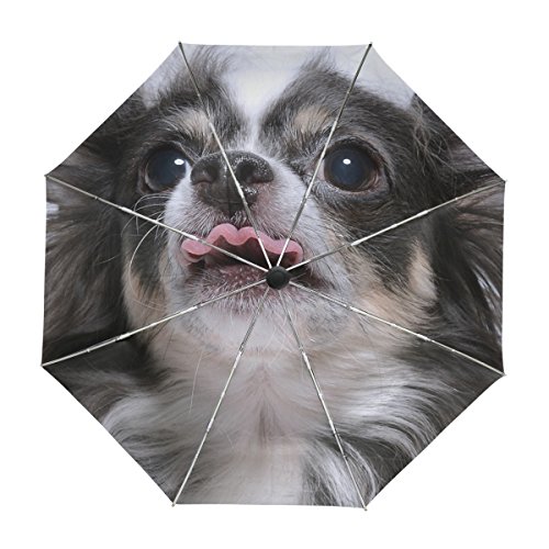 alaza Netter Chihuahua-Hund Regenschirm Reise Auto Öffnen Schließen UV-Schutz Windsicher