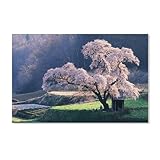 1000 Puzzles Für Erwachsene，Japanische Landschaft, die Kirschblüte，Freizeit Unterhaltung Kinder Spielzeug Zuhause Dekoration Art Geschenk（50x70cm）-A43