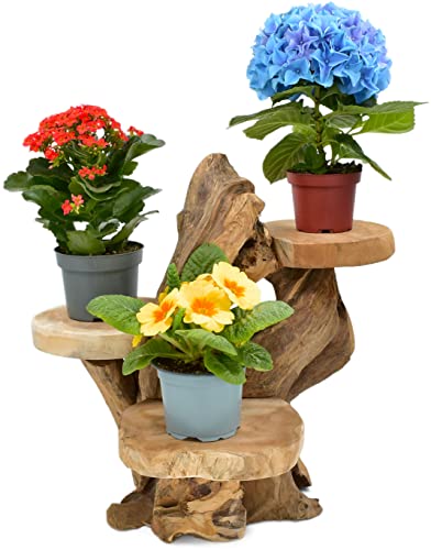 Möbelbörse Teak Blumenständer mit 3 Ablagen Blumenpodest Pflanzentreppe Blumenregal Ständer Blumenhocker Massiv Holz Podest Regal