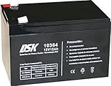 DSK 10364 - Akku Blei-Gel 12 V 12 Ah, schwarz