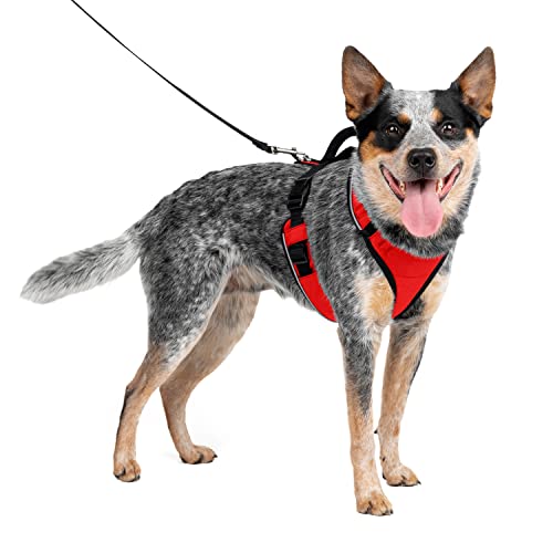 PetSafe Easy Sport Hundegeschirr M rot, extra, Reflektoren, Geschirrgriff, für mittelgroße Hunde
