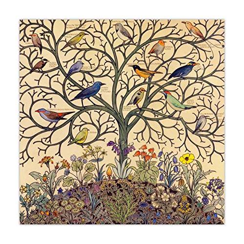 Baum des Lebens Tropische Vögel Kunst Leinwand Druck Vintage Poster Antike Exotische Vogel Natur Wandkunst Leinwand Gemälde Bild 60x60cm Rahmenlos
