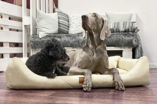 tierlando® Orthopädisches Hundebett William Easy-Clean | Luxus Hundesofa Kunstleder | Allergiker Anti-Haar | Memory Foam M+ | Creme