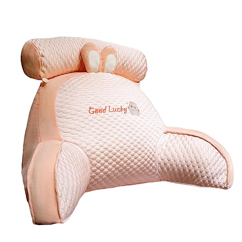 Waist Support Pillows Cute | Reading Pillow | 2-in-1 Iced Bean Reading Pillow Bed Cushion with Detachable Neck Pillow | Multi-Functional Backrest Sofa Pillow Washable Bed Reading Pillow