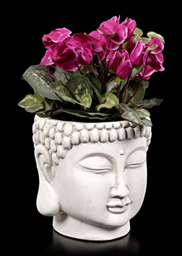 Figuren Shop GmbH Weißer Terrakotta Blumentopf - Buddha-Kopf | Pflanz-Gefäß mit Buddha-Gesicht, Deko-Artikel, Terrakotta, H 20 cm