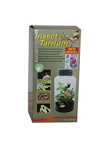 Lucky Reptile IT-5 InsectTarrium 5 l, Pet Kleinterrarium für den ersten Einstieg in die Terraristik