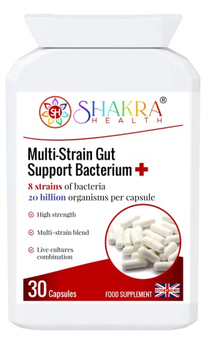 Multi-Strain Gut Support Bakterium + Praktikerstärke, veganes probiotisches Nahrungsergänzungsmittel